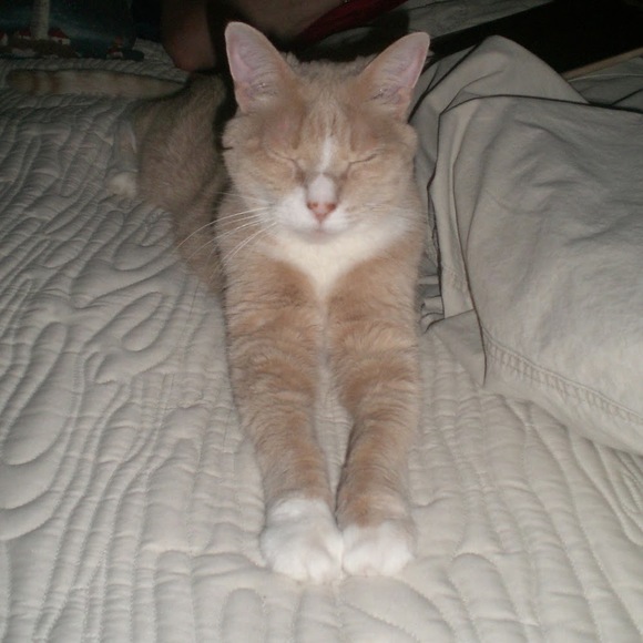 Meet your Posher, Diane - Picture 1 of 1